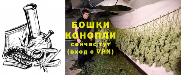 ECSTASY Богородицк