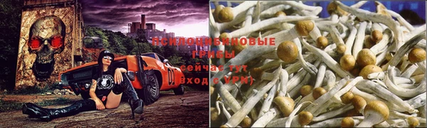 первитин Богородск