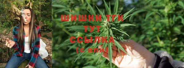 первитин Богородск