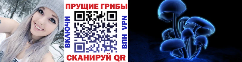хочу наркоту  Малая Вишера  Псилоцибиновые грибы мицелий 